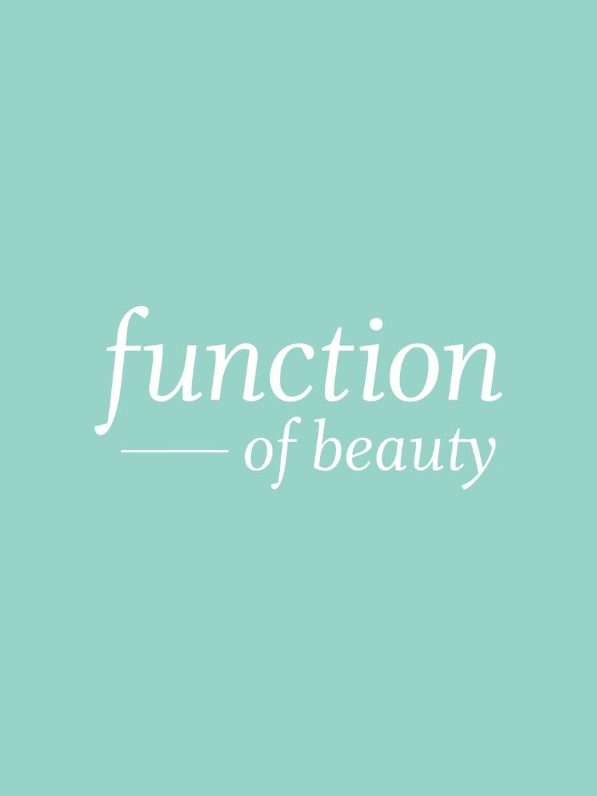Function Website logo 1