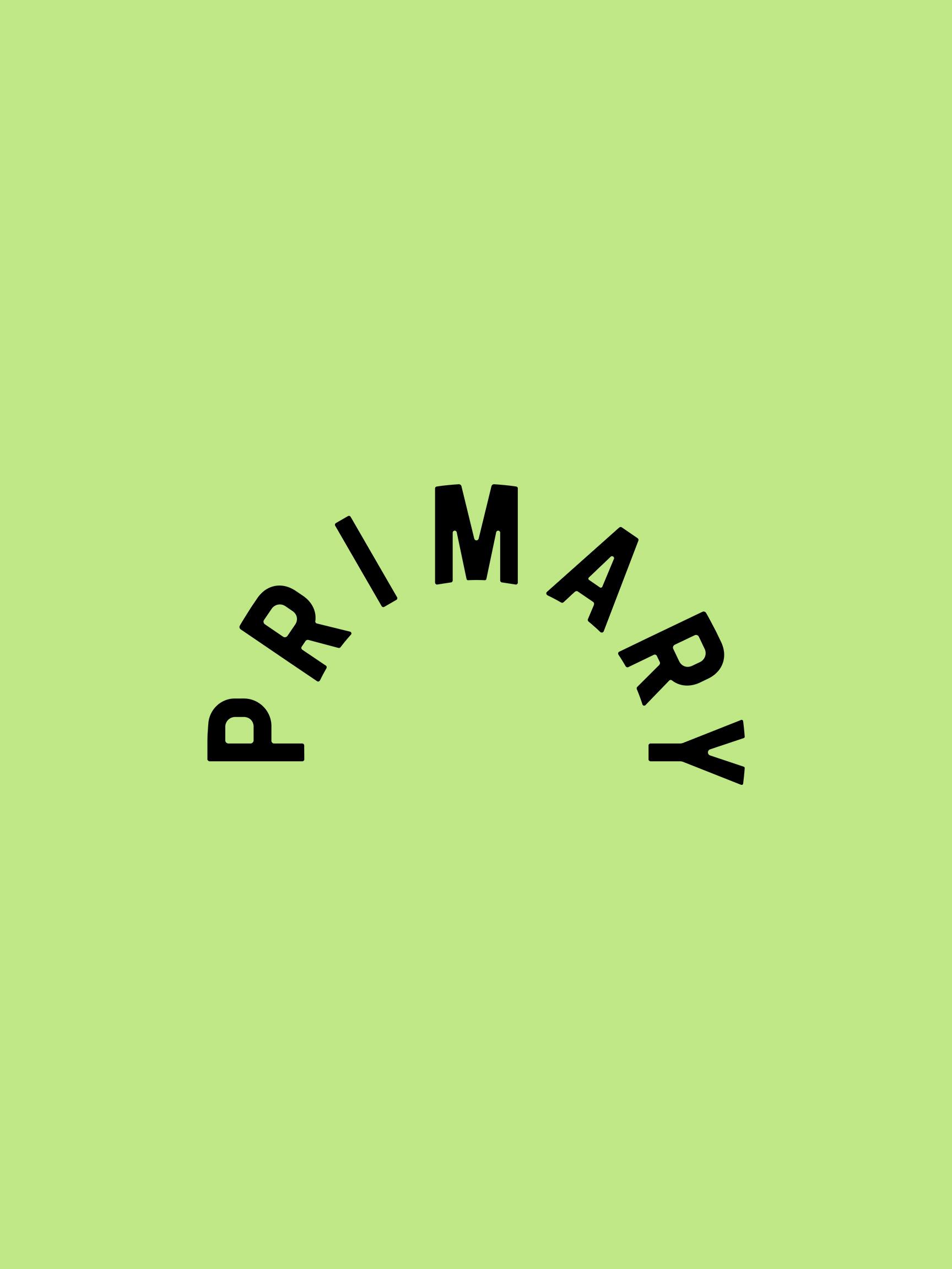 primary logo2x