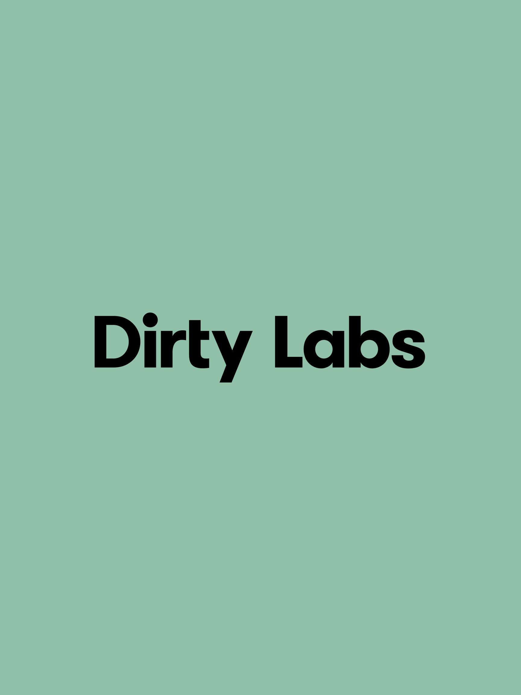 Dirtylabs logo 2x